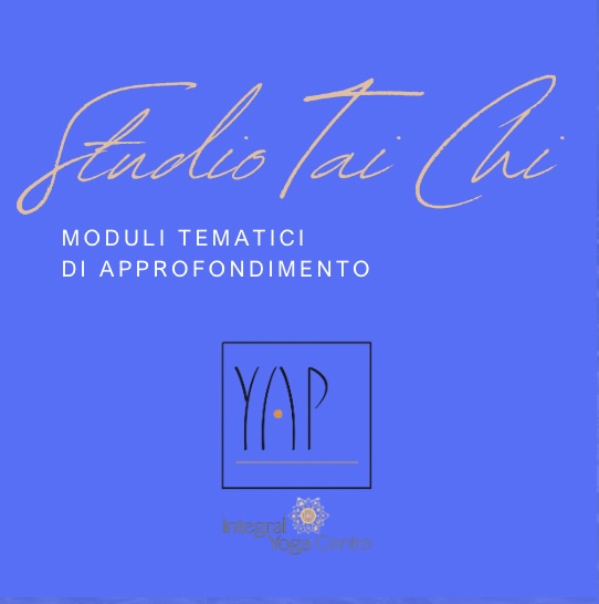 Studio Tai Chi