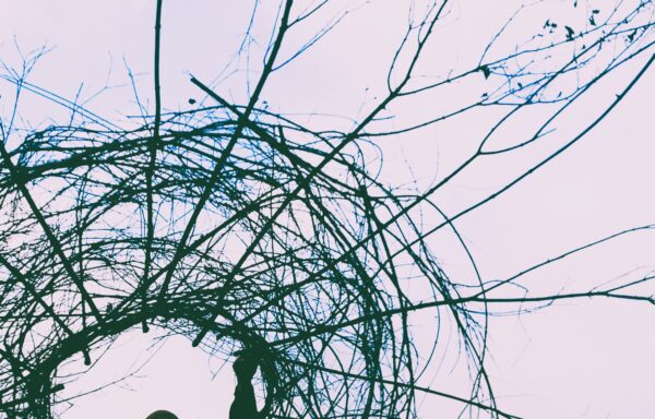 OVERDANCE LAB 2026 • PROGETTO ECHI ED INTRECCI